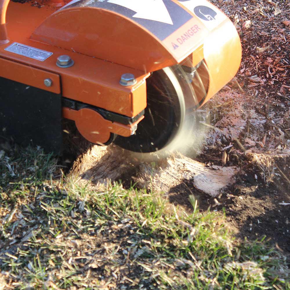 How to Pick Stump Removal Tools