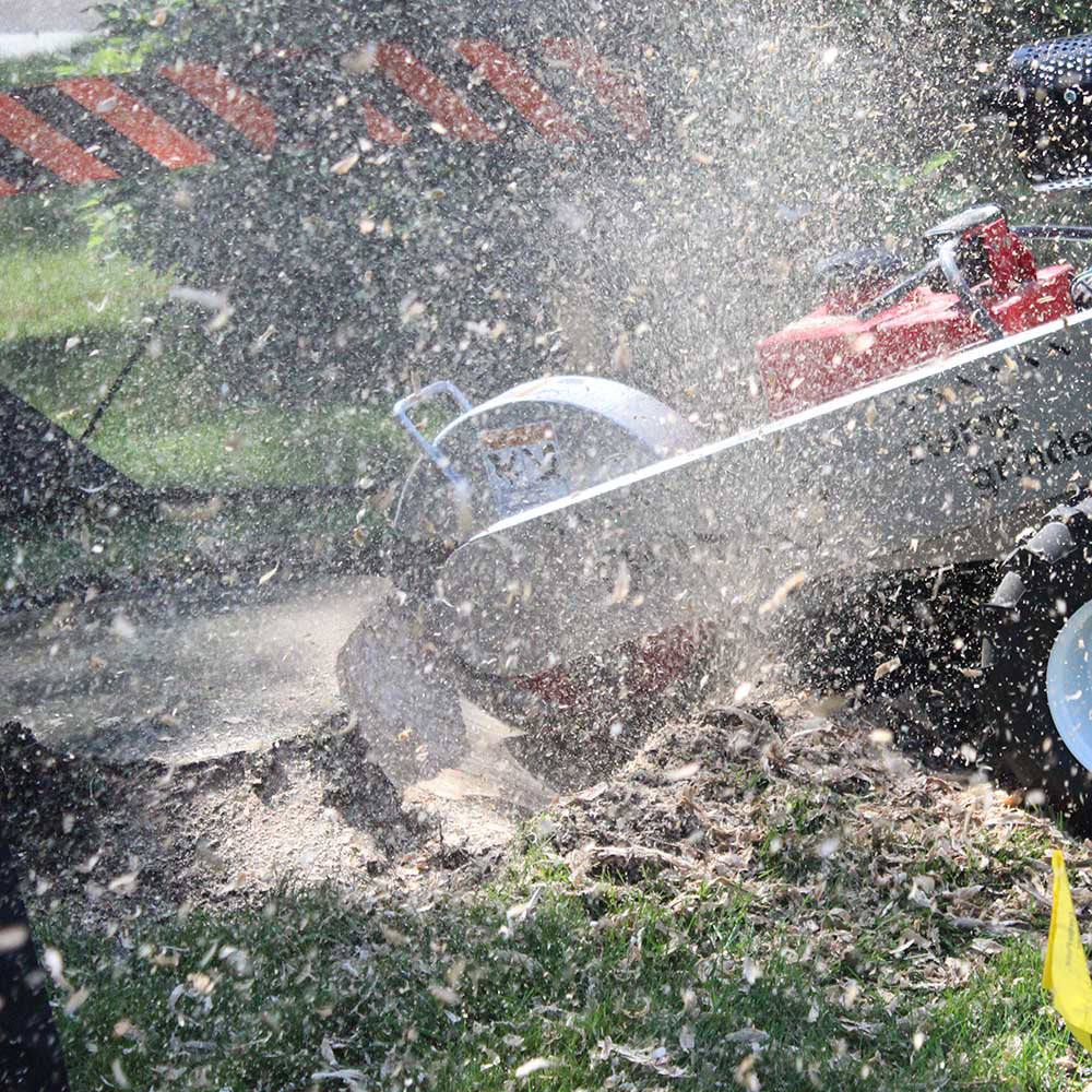 Dosko 691SP-20HE Self-Propelled Stump Grinder | 20 HP Honda 