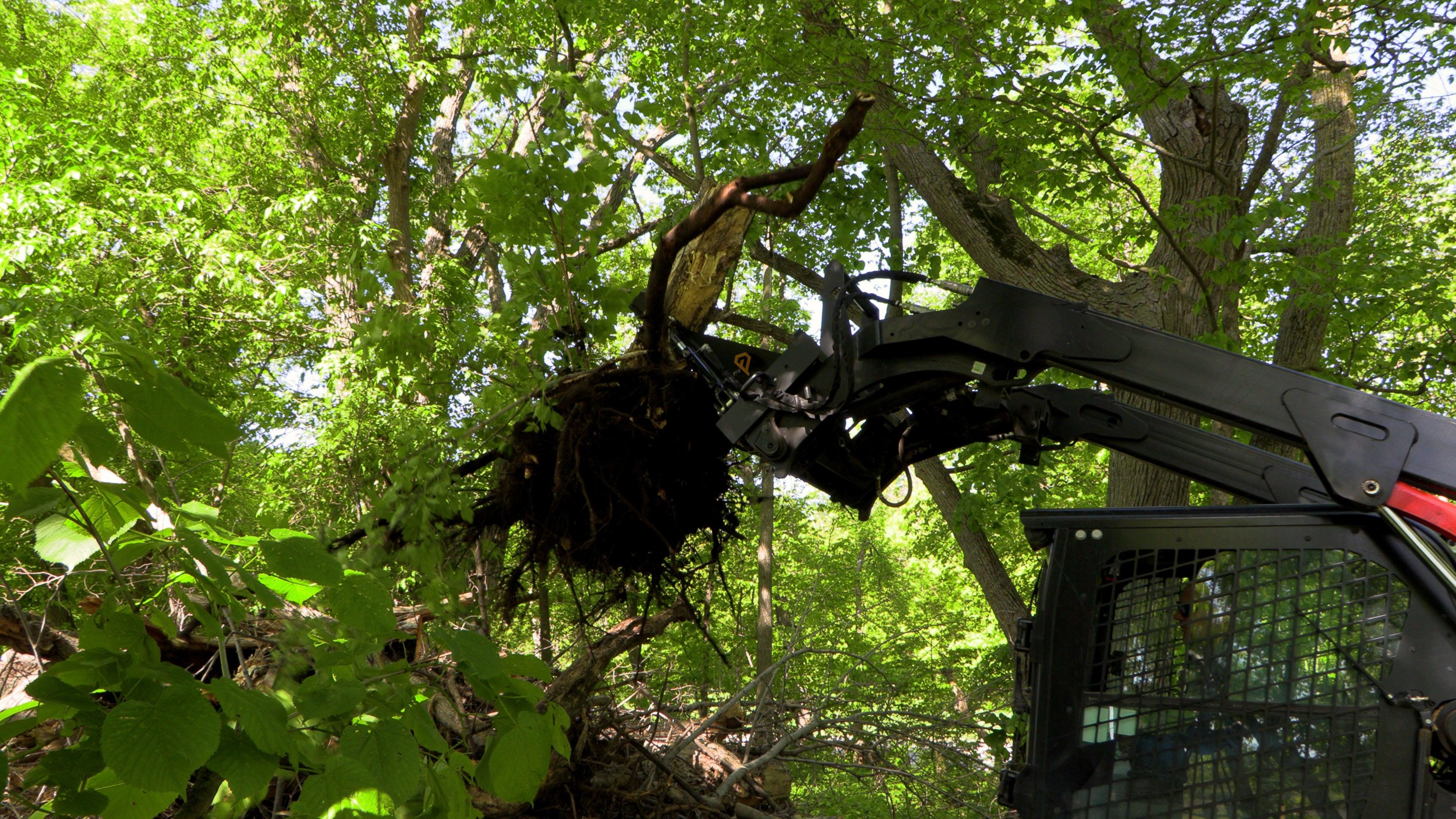 Quick Attach Power Claw Tree Puller 900632 | Skid Steer Tree & Brush Removal, 8-Inch Capacity, 3,000 LB Pull - Log Bear Works