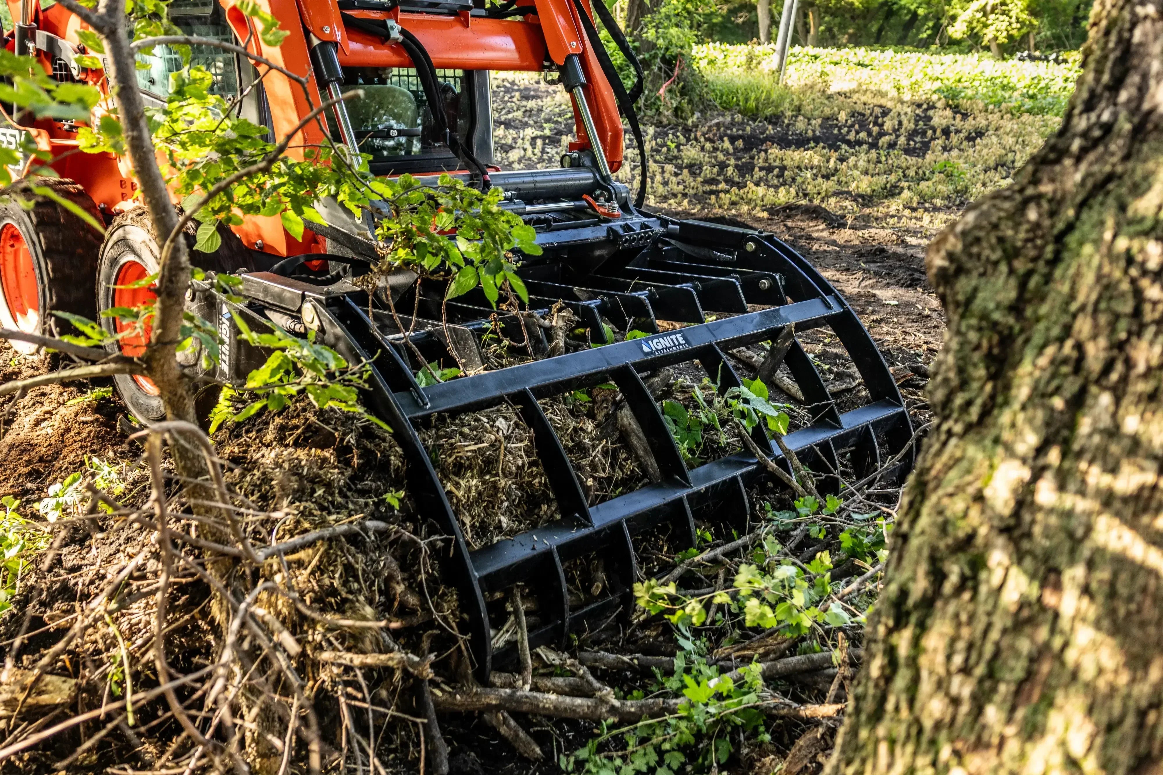 Ignite Attachments 66-Inch Rake Grapple | 2-in-1 Skid Steer Attachment for Land Clearing & Debris Loading - Log Bear Works
