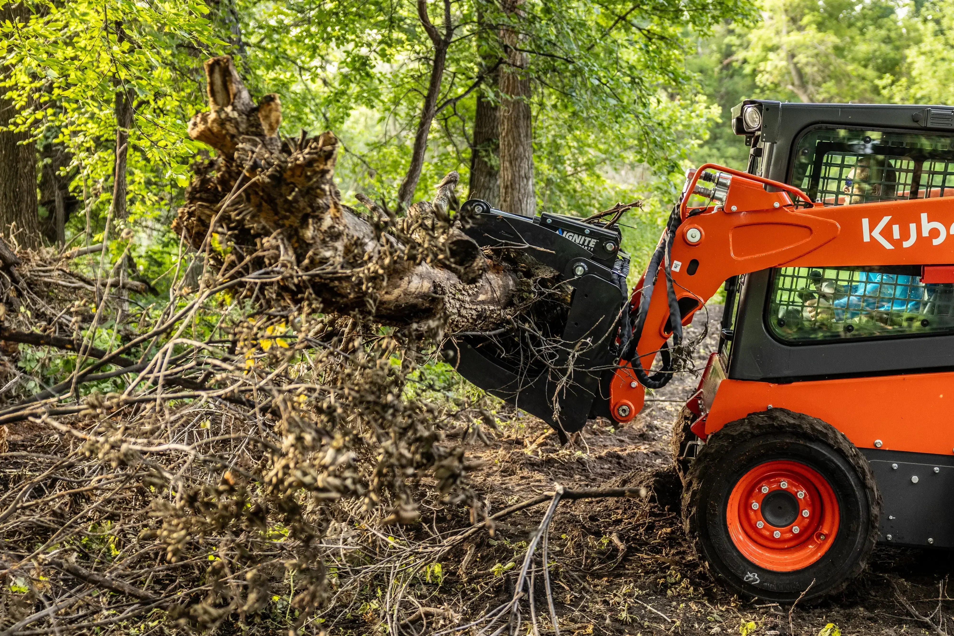 Ignite Attachments 62-Inch Root Grapple Attachment | Heavy-Duty Land Clearing for Skid Steers - Log Bear Works