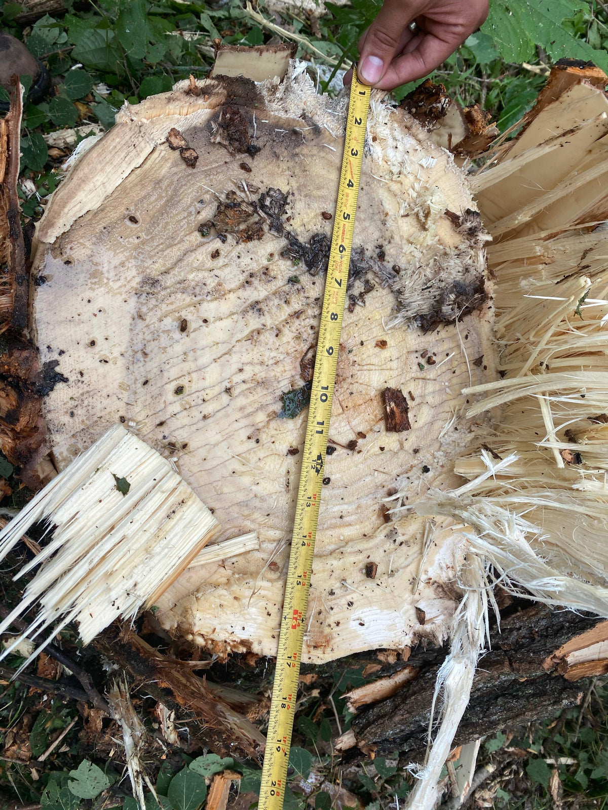Quick Attach The Power Axe - Tree Shear HD - Log Bear Works